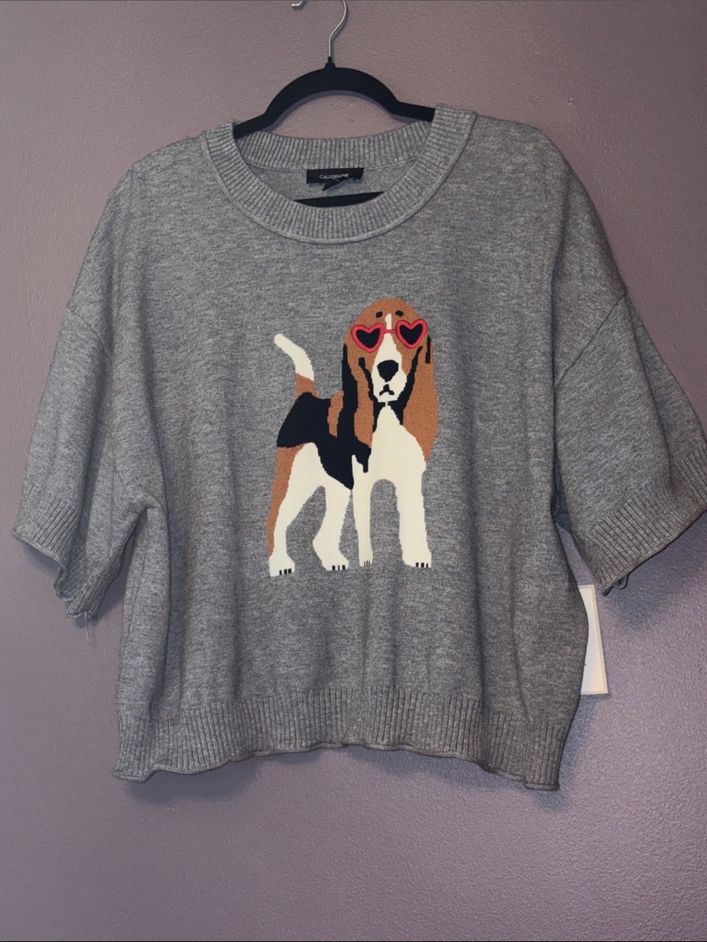 Anthropologie Beagle dog with embroidered glasses grey sweater NWT XL
